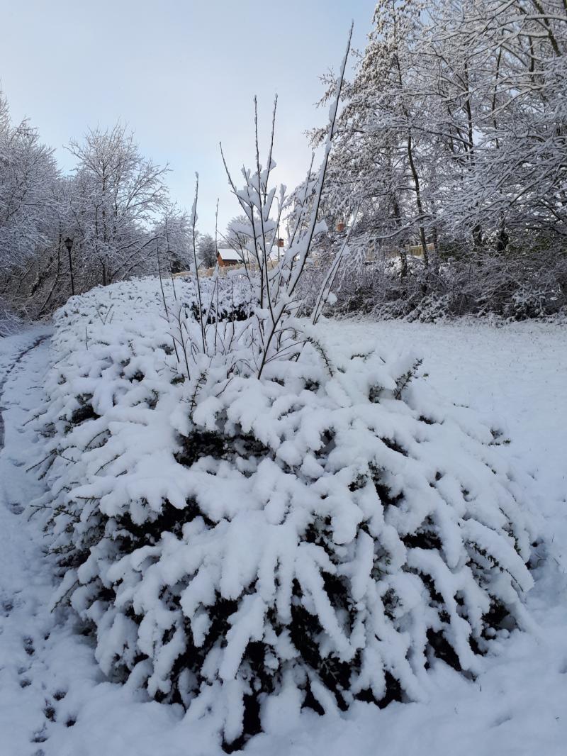 Snow-ice warning issued for three counties as Ireland braces for major temperature drop
