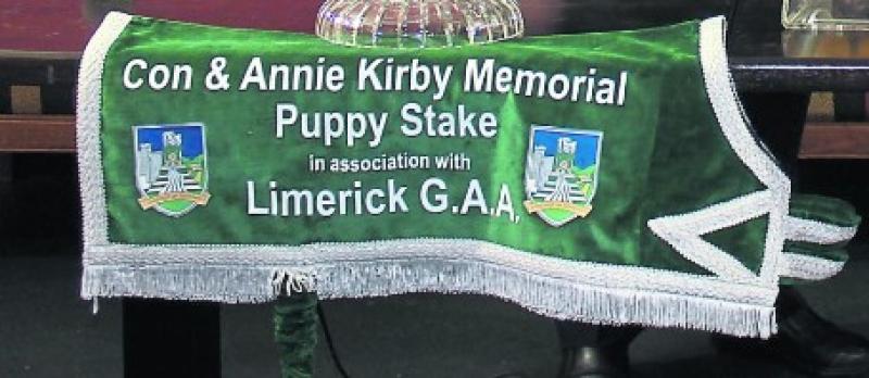 Limerick ladies football, camogie and handball clubs invited to enter Con and Annie Kirby to win €10,000