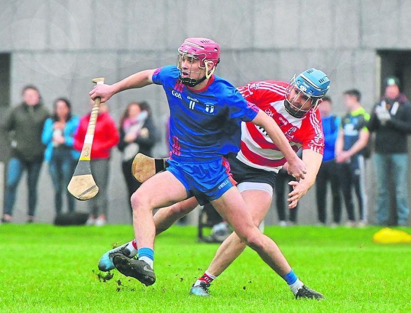 Mary Immaculate bid to continue Limerick dominance of Fitzgibbon Cup in NUIG semi final