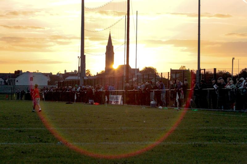 Limerick GAA officially apply for planning permission for a stand in Mick Neville Park