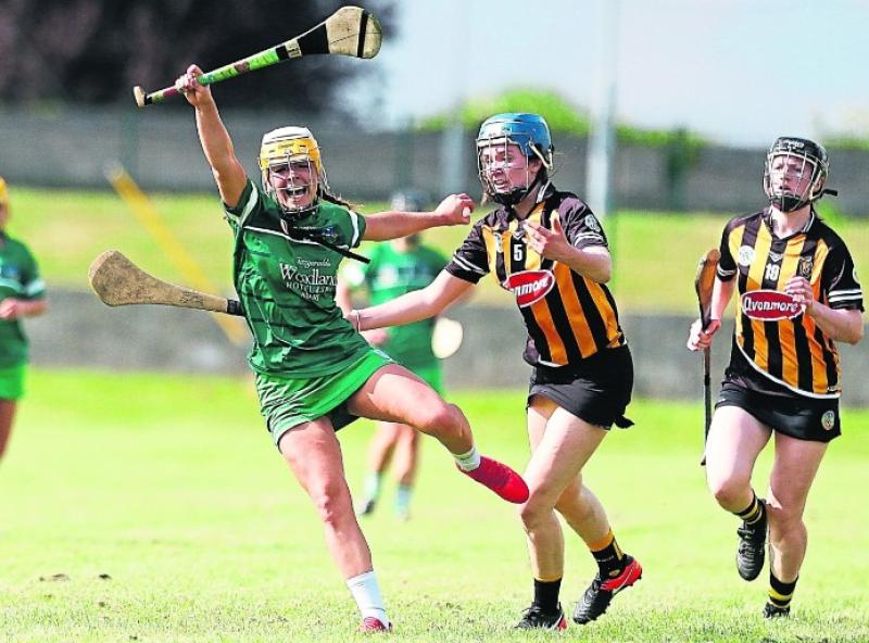 Limerick GAA confirm a hurling and camogie league double-header for the Gaelic Grounds on Sunday