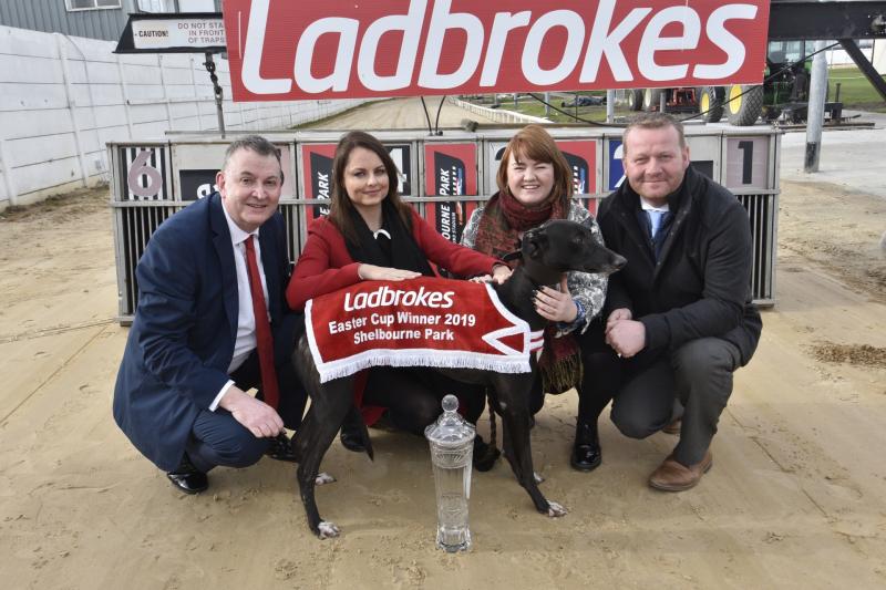 Limerick trio still in hunt for the Easter Cup in Shelbourne Greyhound Stadium