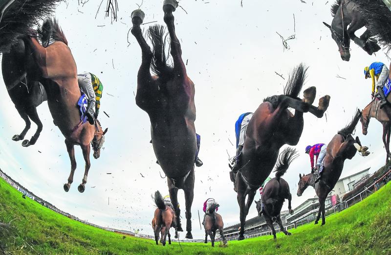 Limerick Harriers host point-to-point on Sunday
