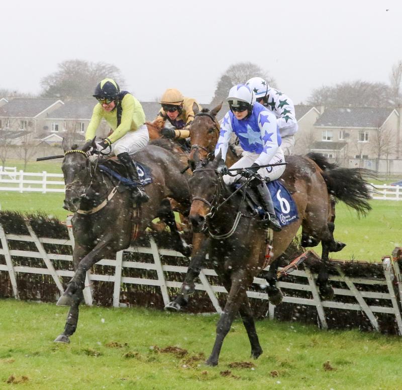 Good week of racing for Limerick's McNamara clans