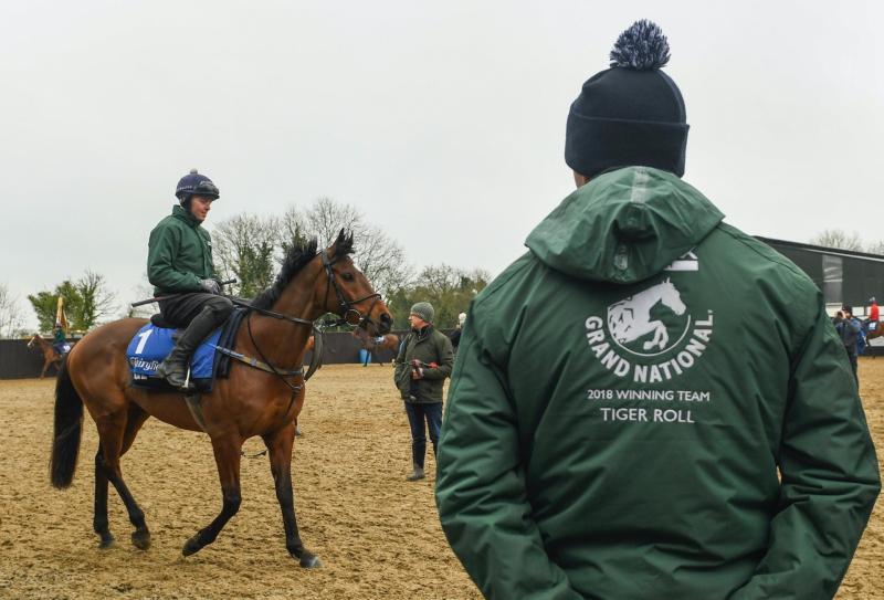 Betting: The 'Pin-prickers' guide to the 2019 Aintree Grand National 