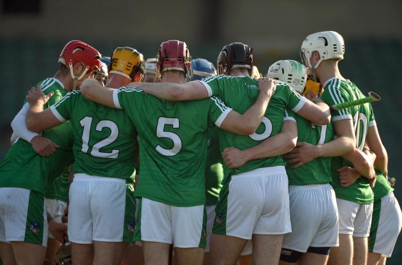 Limerick confirm 2019 senior hurling championship panel