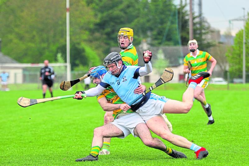 Limerick SHC Team of the Week - eight clubs represented