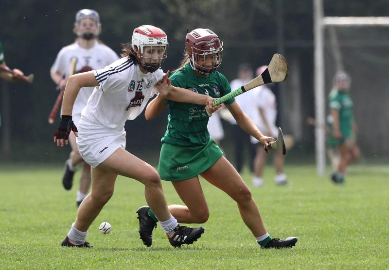 Limerick denied camogie league title by Kildare second half fightback