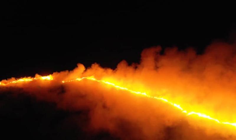 Emergency services called to scene of woods and gorse fire in County Limerick
