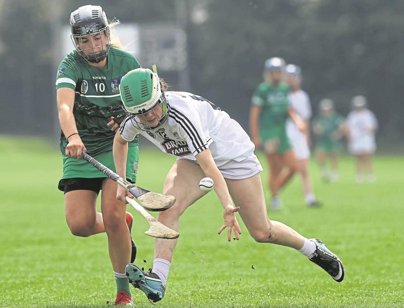 Opinion: More co-operation needed between camogie and ladies football - Jerome O'Connell