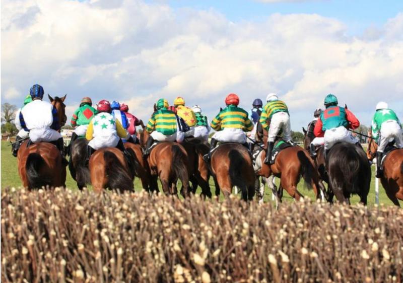 BETTING: Punchestown Festival Tips - Day 2