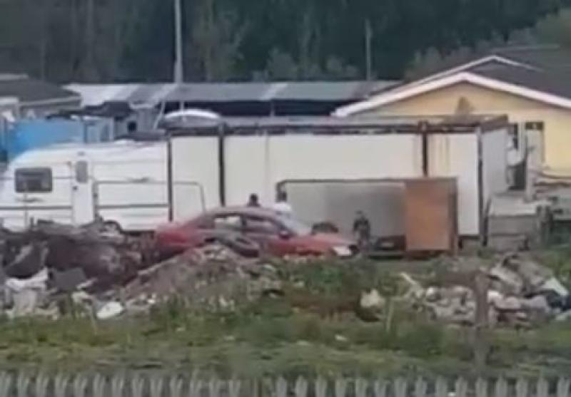 WATCH: 'Horrific abuse' of animal captured in Limerick
