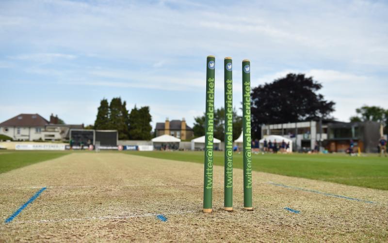 Limerick Cricket Club fall short of beating champions