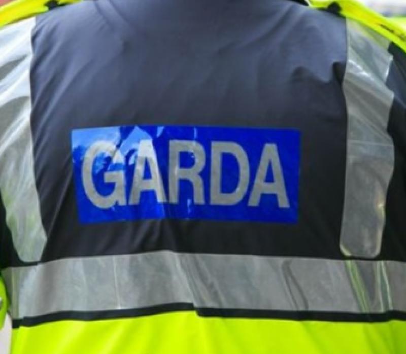 Dog seized following reported ‘attack’ in Limerick