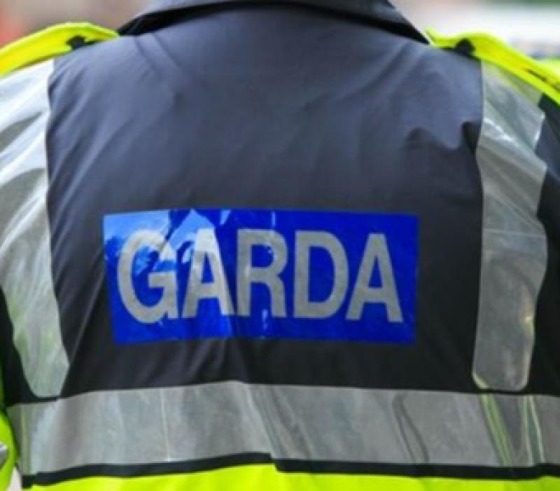 Garda warning after theft from 'Good Samaritan' in Limerick village