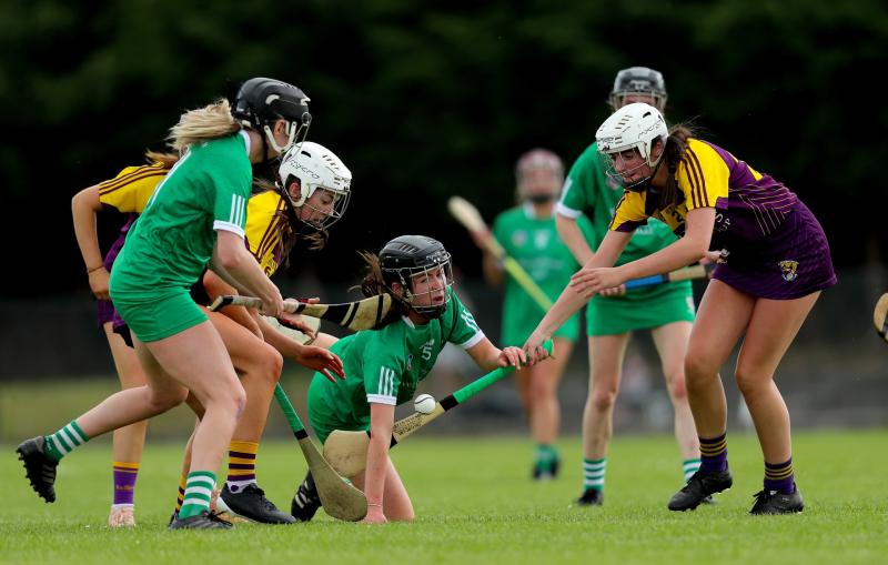 Limerick GAA club left 'extremely concerned and dismayed' after camogie players take till