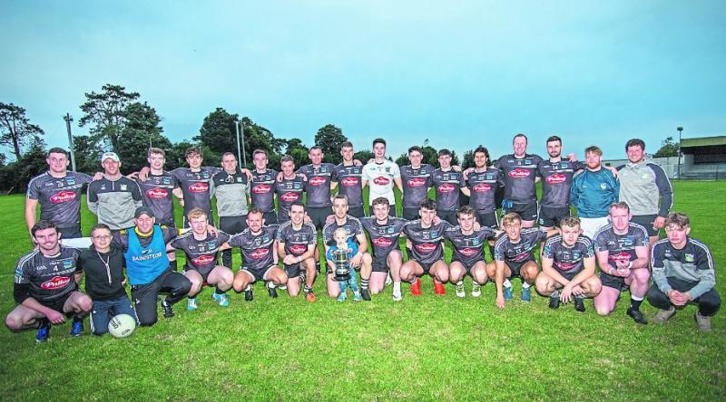 Fixture details confirmed for six Limerick GAA hurling and football league finals