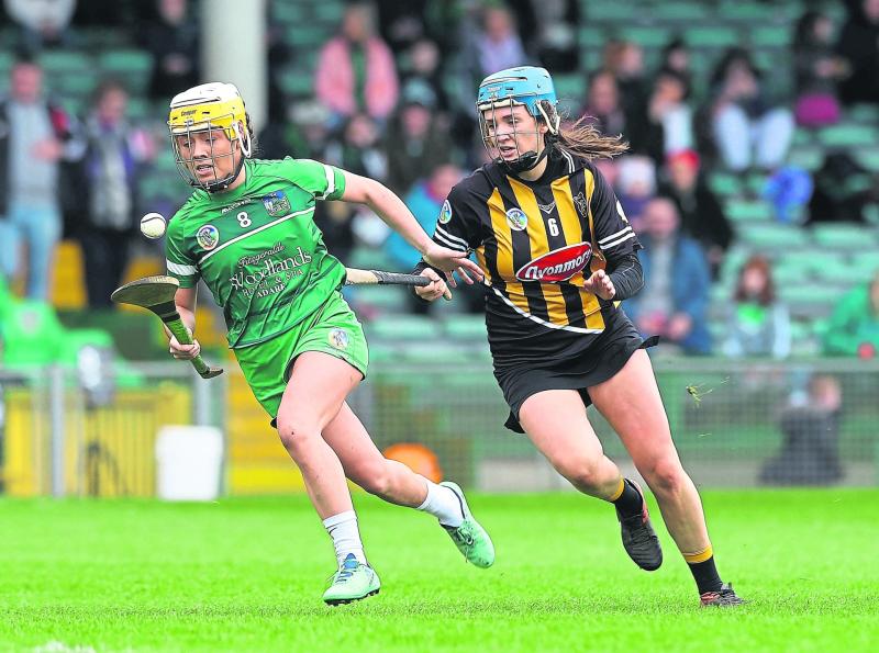 Limerick face Kilkenny in final group game in All-Ireland camogie championship