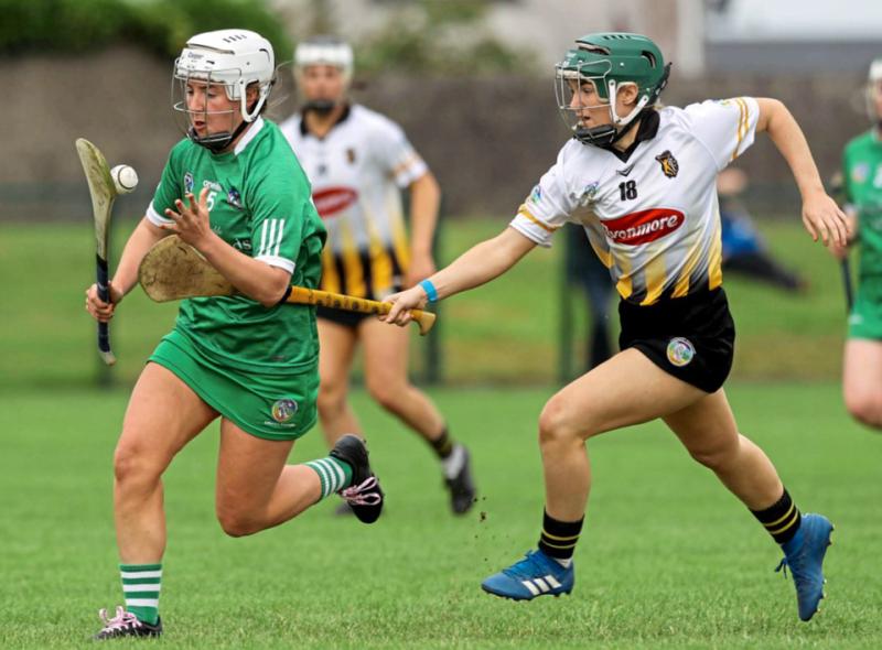 Two changes in Limerick camogie team to play Kilkenny in the All-Ireland championship