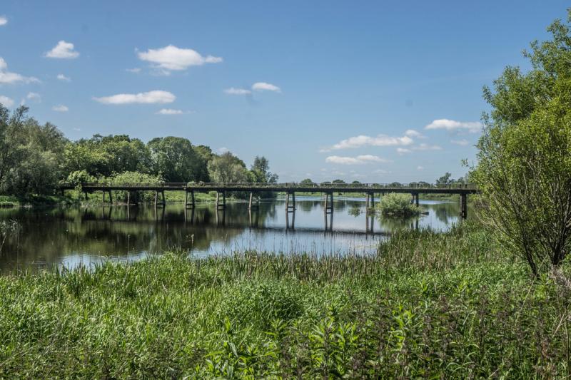 Ibal survey on River Shannon