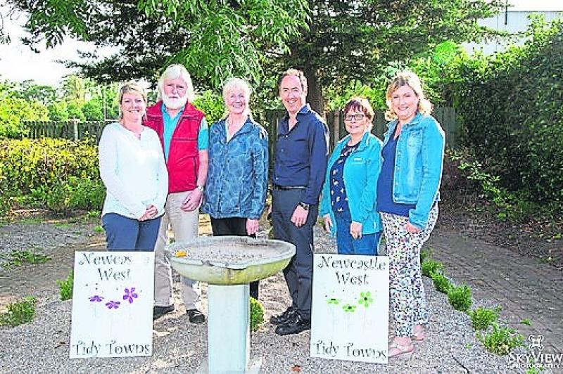 Wildcards for Limerick Going for Gold competition chosen