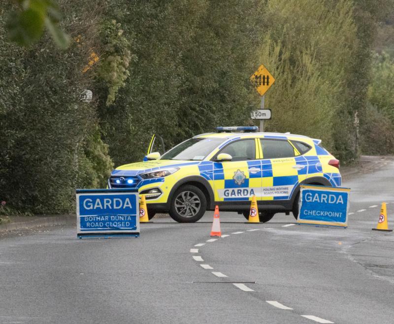 Boy, 12, and man, 28, killed in car crash on outskirts of Limerick city