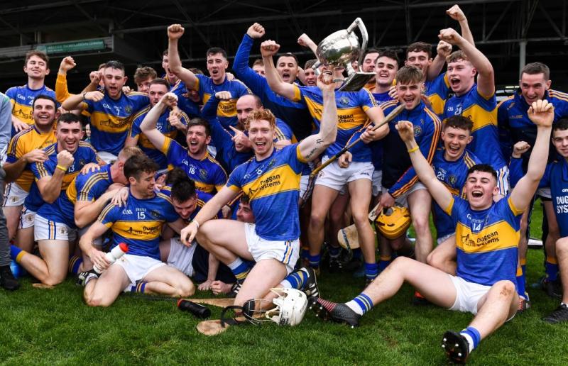 Patrickswell want Munster club progress after historic Limerick hurling title victory