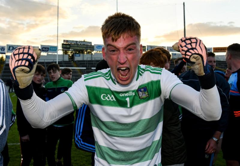 Limerick to vote in favour of new Tier 2 All-Ireland Football Championship