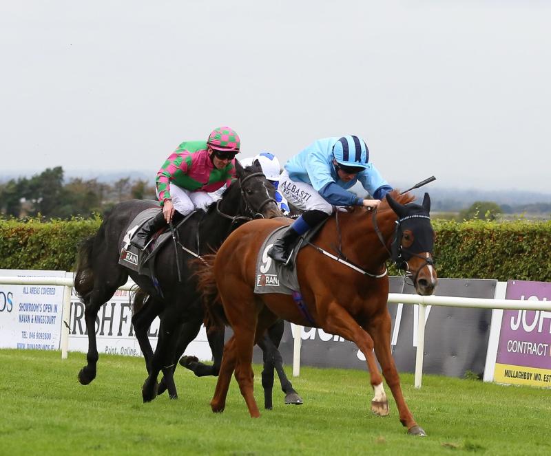 Prolific Limerick jockey Chris Hayes is back among the winners