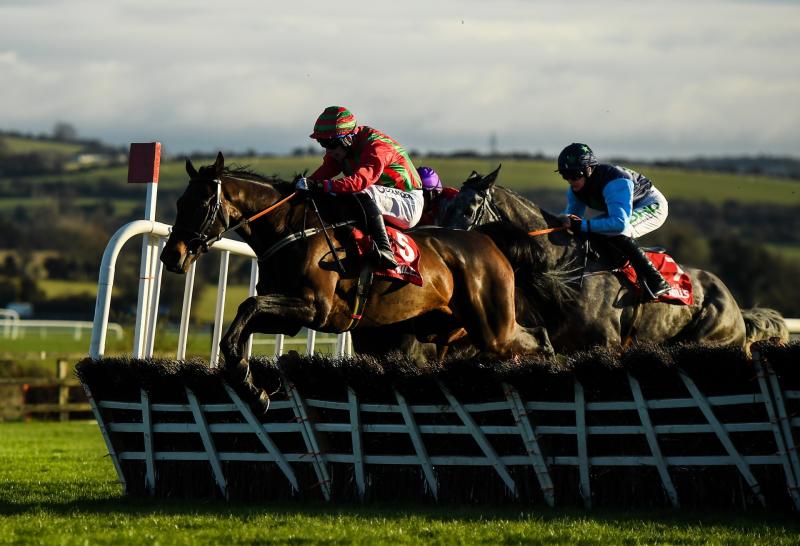 WATCH: Limerick racing syndicate celebrate Punchestown success