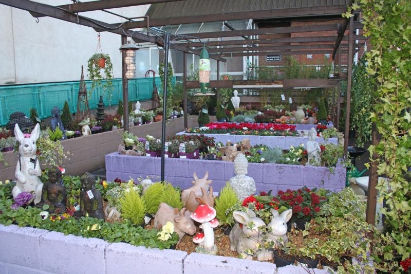 Charity shop grows its Limerick offering with garden store