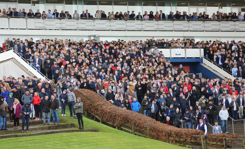Under starter's order for day two of Limerick Christmas Racing Festival