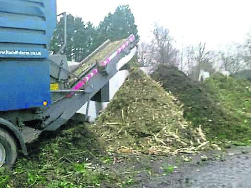 Limerick Council offers help with recycling in festive season
