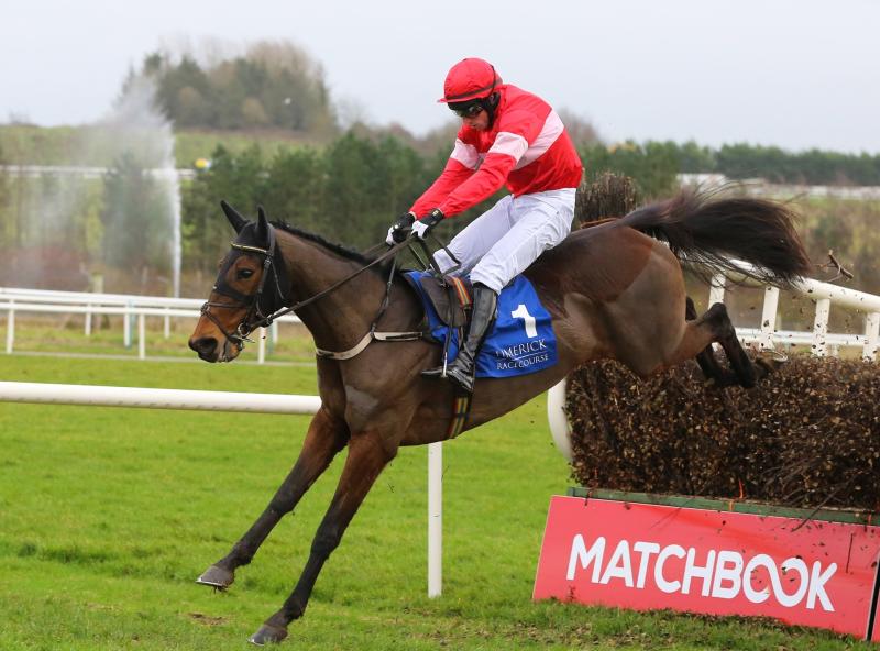 More than 41,000  racegoers flock to Limerick Christmas Racing Festival