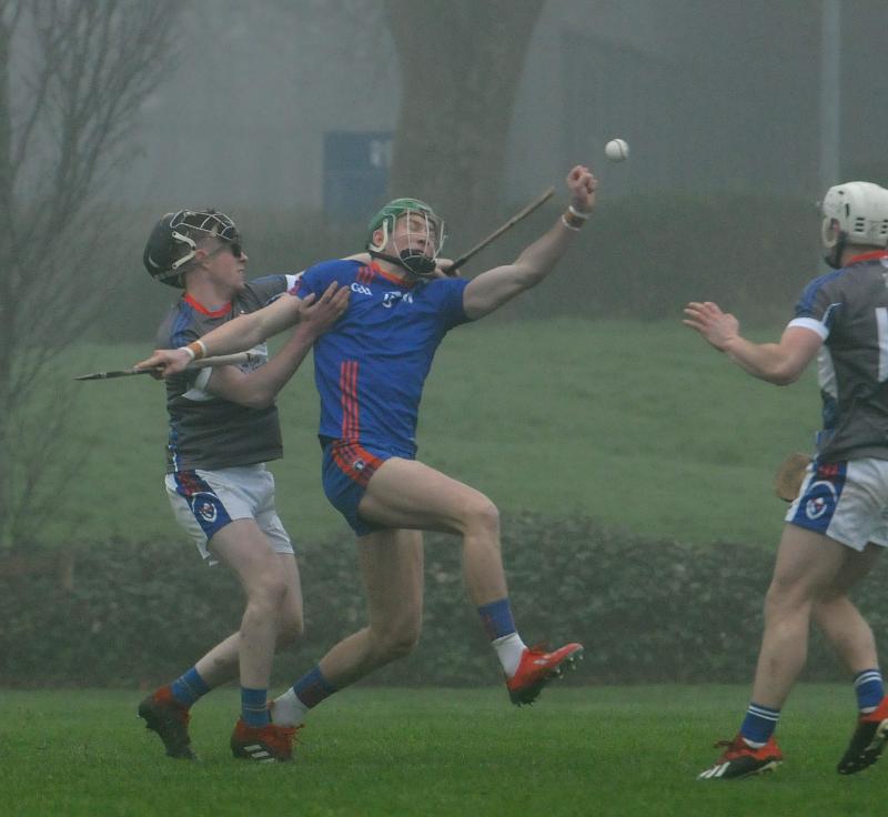 Mary Immaculate secure home quarter final in Limerick with Fitzgibbon Cup win over WIT