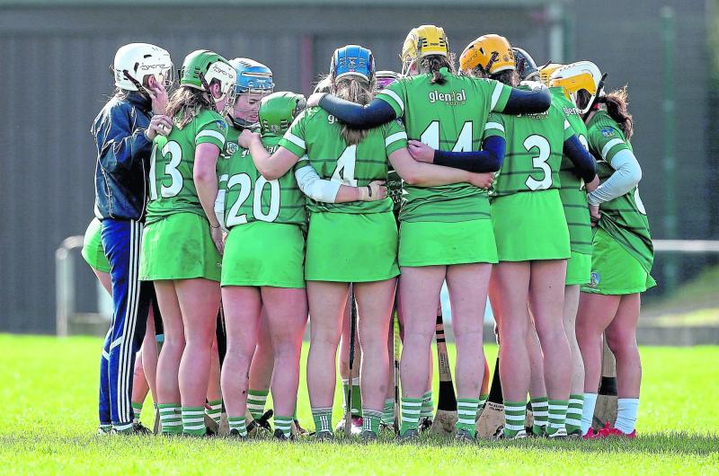 Limerick confirm 30-strong panel for Littlewoods Ireland Camogie League