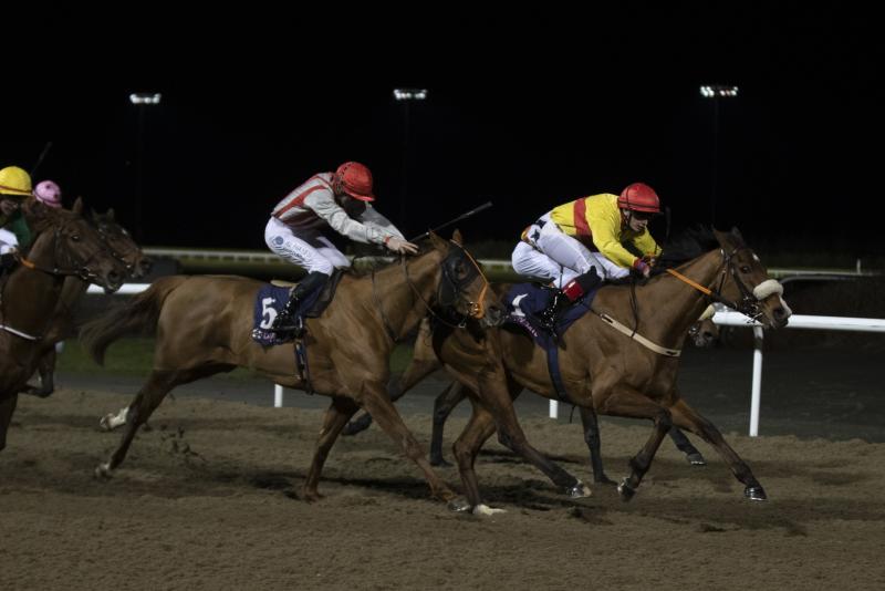 Horse Racing News Limerick's Barry Fitzgerald lands first winner at