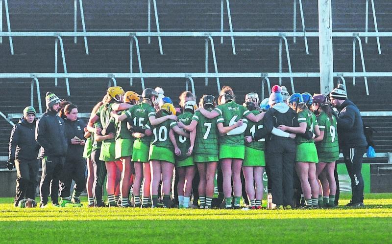 Joint-captains confirmed for Limerick camogie in 2020 season