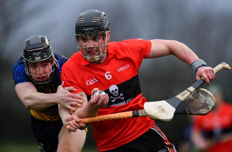 Limerick hurlers bid for Fitzgibbon Cup title success as UCC play IT Carlow