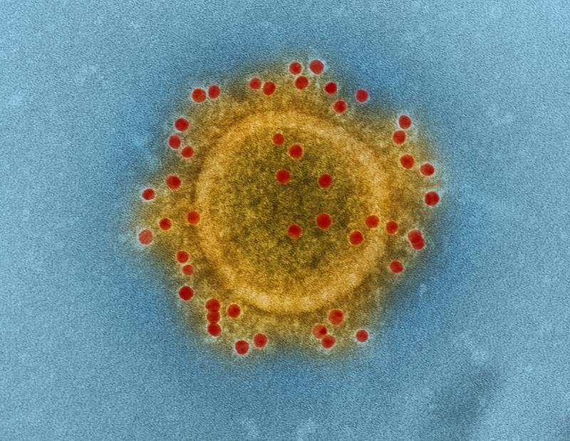 Limerick hospitals group issues update after Covid-19 outbreak