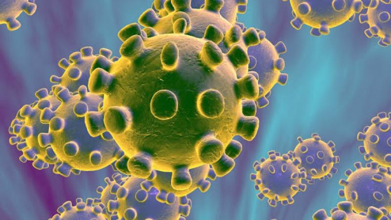 Scientists make big breakthrough researching how our bodies fight viruses 