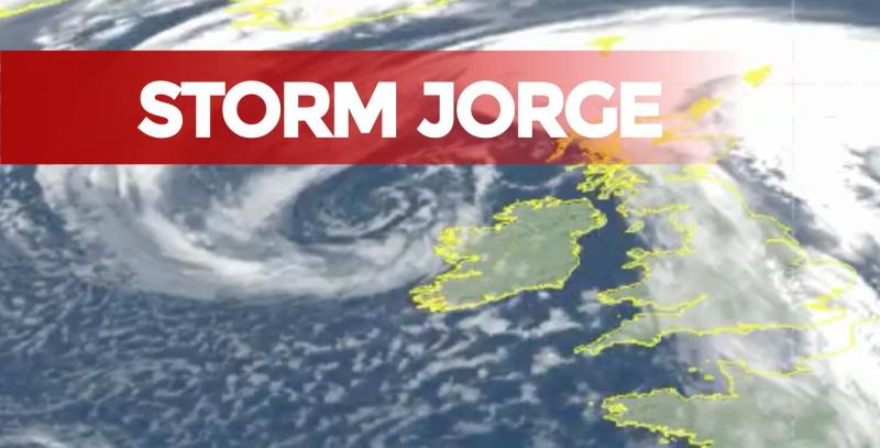 House hit by fallen tree during Storm Jorge in Limerick
