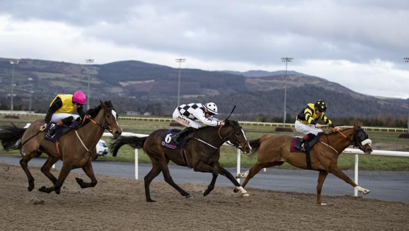 Ballingarry trainer is toast of punters at Dundalk