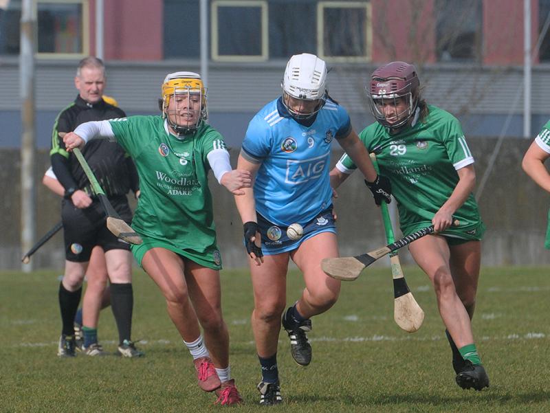 Limerick find late scores to defeat Dublin and move clear of relegation in Camogie League