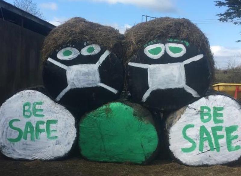 Limerick farmer’s silage display to help ‘bale’ us out of crisis