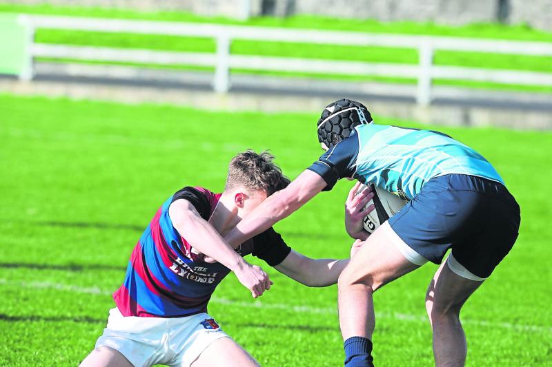 Limerick winner of Clayton Hotels 'Senior Cup Try of the year'