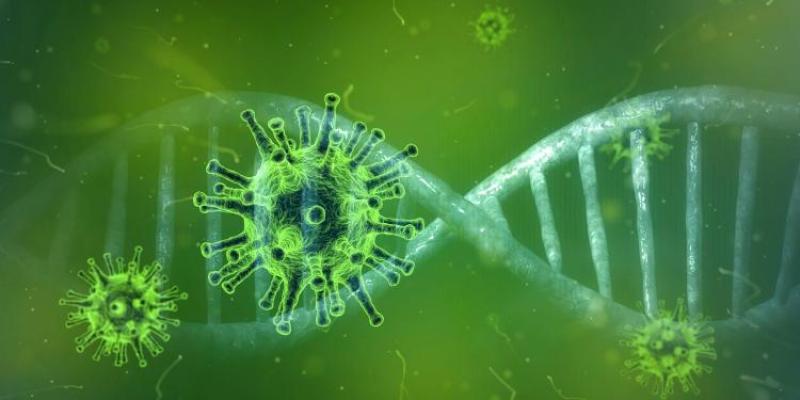 University study to probe impact of Covid-19 on daily life in Ireland