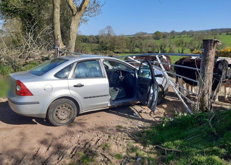 Gardai arrest drug driver in a river after he crashed into farm gate