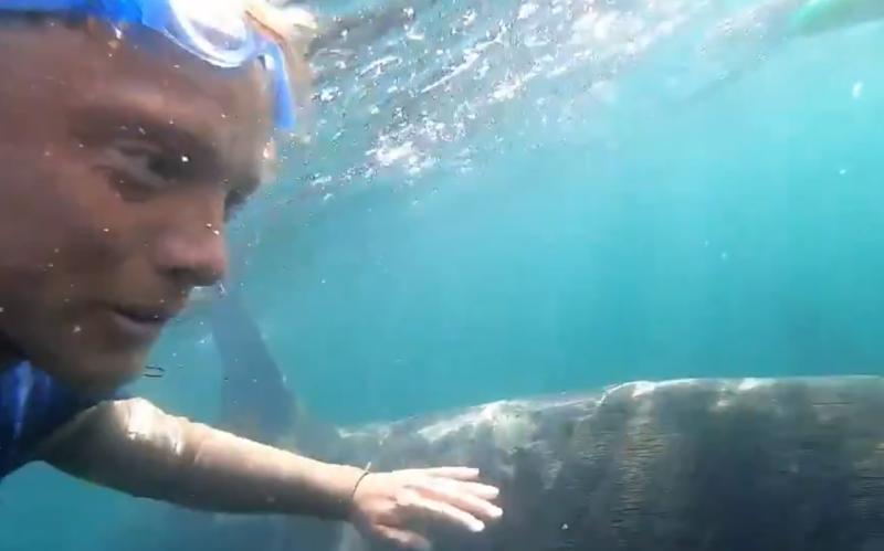 WATCH: Spectacular footage of man swimming with sharks off Clare coast