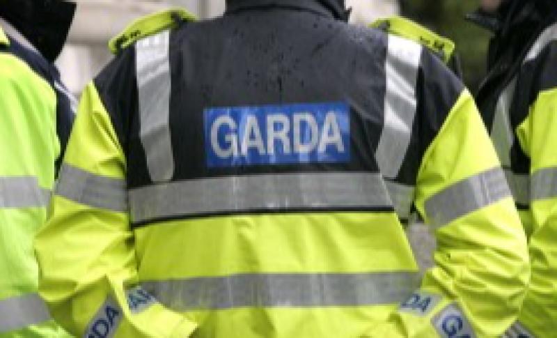 Cash, firearms and drugs seized as eight arrested in major garda operation in Limerick 